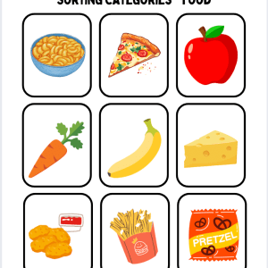 90 Sorting Category Cards | Digital Download | Sorting Activities for ABA, Speech Therapy, Special Education, & Early Learning